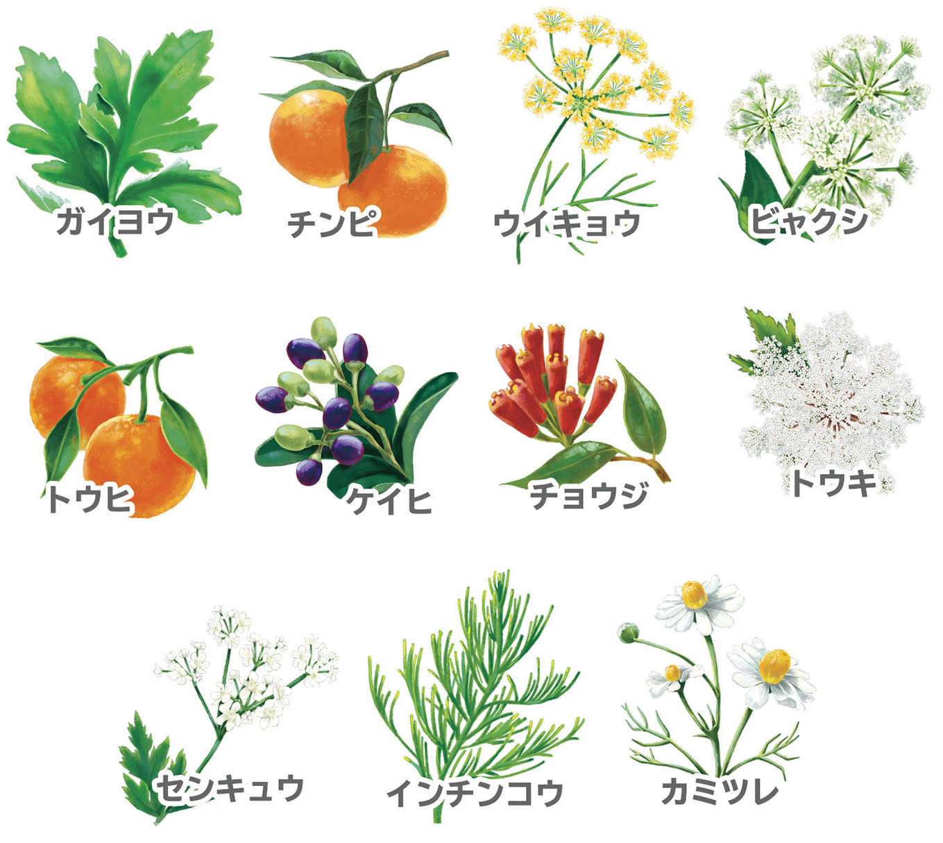 【医薬部外品】に認可された安心・安全のオリジナルブレンドハーブ